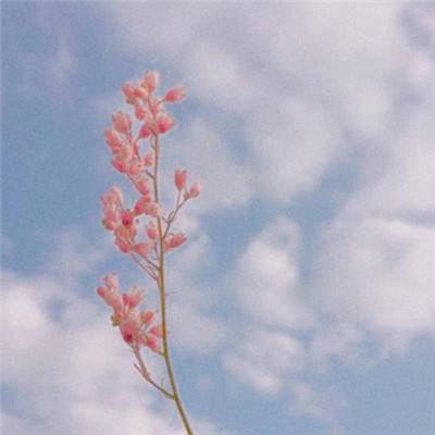 中央網(wǎng)信辦召開深入貫徹中央八項(xiàng)規(guī)定精神學(xué)習(xí)教育動(dòng)員部署會(huì)