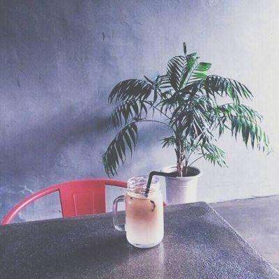 美國國鳥吞鹿飛不動嚇壞大狗