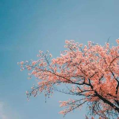 福彩公益讓孤困殘兒童夢(mèng)想開花