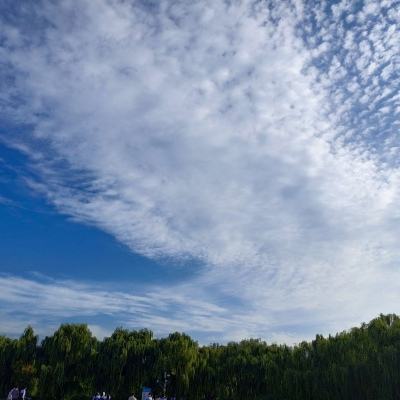 九陽股份：2019年凈利潤8.24億元 同比增長9.22%