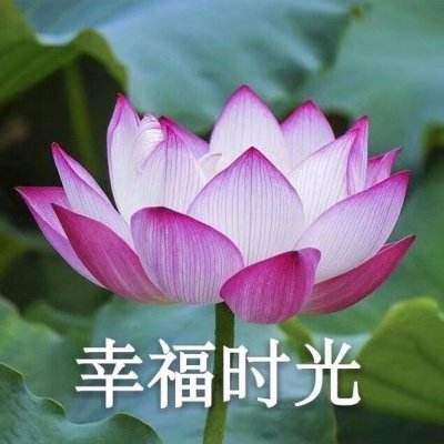 俄總理：俄政府為確保經(jīng)濟(jì)發(fā)展所采取的措施顯效
