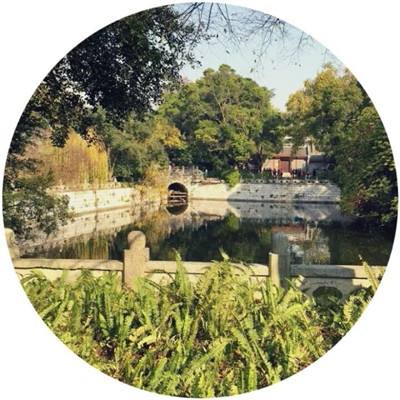 陳念平：破解“一針穿千線”新矛盾——基層綜合行政執(zhí)法改革研究回顧與展望