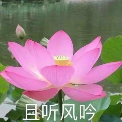 各級共青團、少先隊組織開展清明祭英烈主題活動
