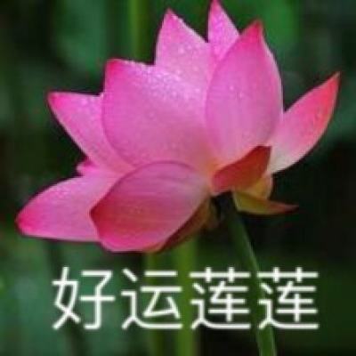 中國誠通：擬使用股票回購增持再貸款資金1000億元用于增持上市公司股票